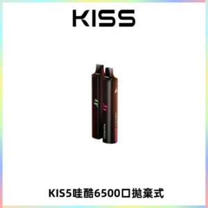KIS5WAGOO哇酷6500口拋棄式 | 自由混搭雙口味 | 雙芯組合